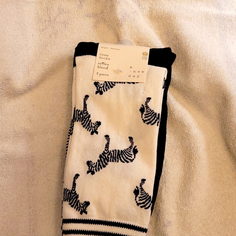 A New Day Crew Socks